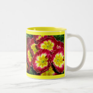 Rote Gelbe Primrose-Tasse Zweifarbige Tasse