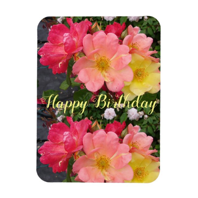 Rote Gelbe Rose Blume Bloral Geburtstag Rose Magnet (Vertikal)