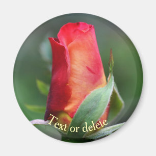 Rote Gelbe Rosenknospe Personalisierte Blume Magnet