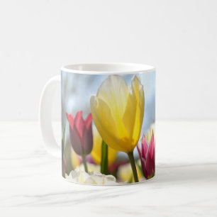 Rote, gelbe und rosa Tulpen in der Sonne Kaffeetasse
