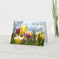 Rote, gelbe und rosa Tulpen in der Sonne werden ba