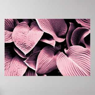 ROTE GELEITETE PFLANZE POSTER