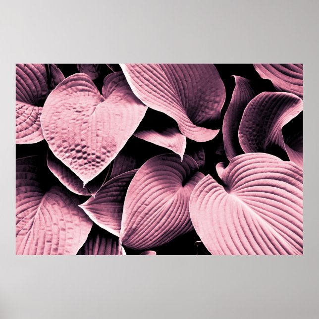 ROTE GELEITETE PFLANZE POSTER (Vorne)