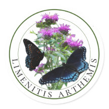 Rote Gepunktete Lila Schmetterlinge auf der Bienen