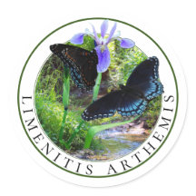 Rote Gepunktete Lila Schmetterlinge und Iris mit b