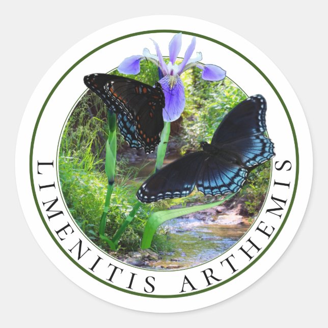 Rote Gepunktete Lila Schmetterlinge und Iris mit b Runder Aufkleber (Vorderseite)