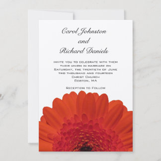 Rote Gerber-Daisy-Hochzeitseinladung Einladung