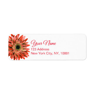 Rote Gerber-Daisy-Wasserfarbe-Kalligrafie-Rückkehr