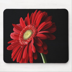 Rote Gerber Gänseblümchen-Mausunterlage Mousepad