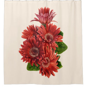 Rote Gerbera-Margeriten Duschvorhang