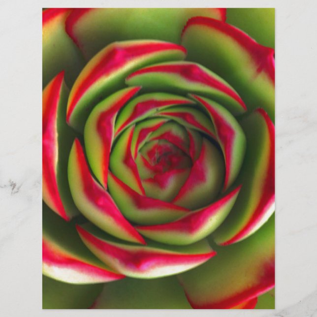 Rote grüne Blume (Vorderseite)