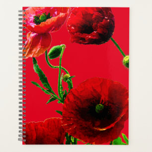 Rote Grüne Blumenmohn Blume Sommergarten Planer