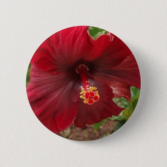 rote Hawaii-Hibiskus-Pflanze Button (Vorderseite)