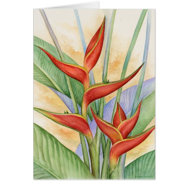 Rote Heliconia tropische Blumen malend - multi (Vorne)