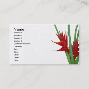 Rote Heliconia Wasserfarbe Visitenkarte