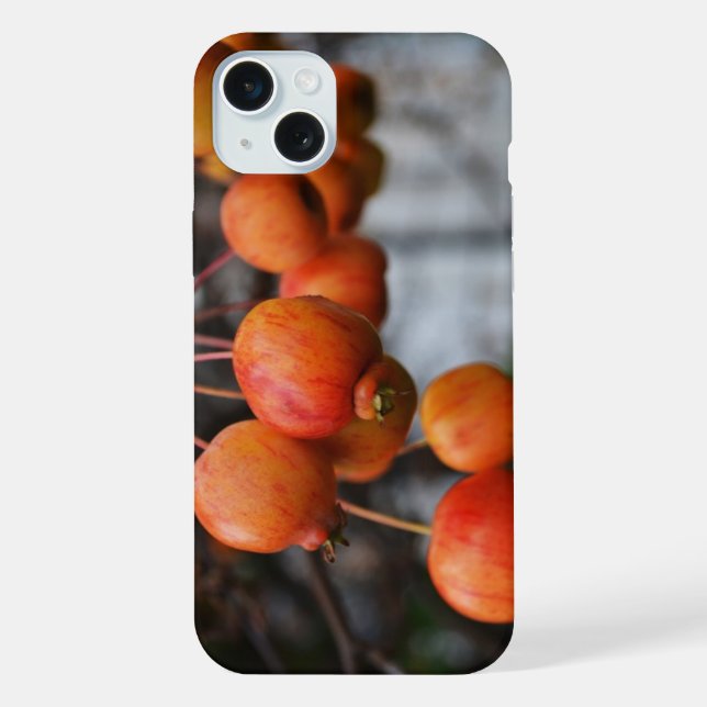 Rote Herbst-Äpfel iPhone Hülle (Rückseite)