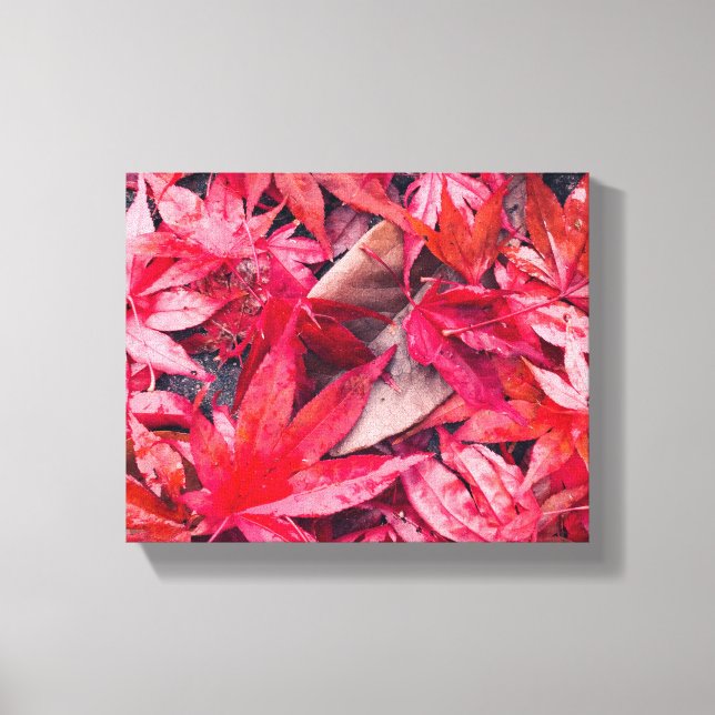 Rote Herbstblätter Leinwanddruck (Vorderseite)
