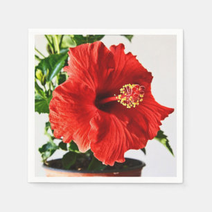 Rote Hibiskus-Blume Serviette