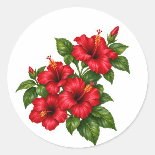 Rote Hibiskus-Tropenblumenstrauß-Aufkleber Runder Aufkleber