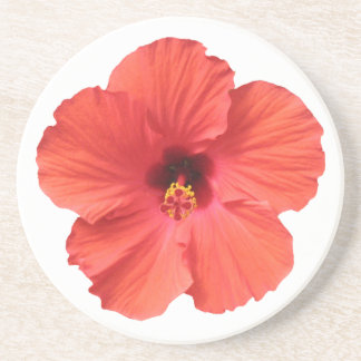Rote Hibiskus-Untersetzer Getränkeuntersetzer