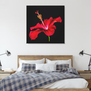 Rote Hibiskusblume Seitenansicht Leinwanddruck
