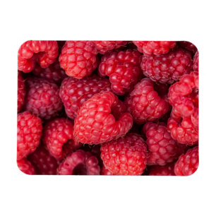 Rote Himbeeren, frisch Magnet