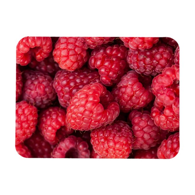 Rote Himbeeren, frisch Magnet (Horizontal)