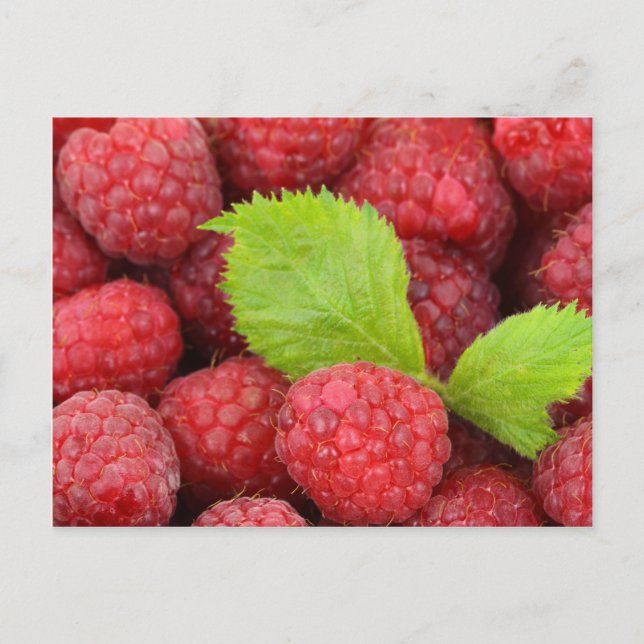 Rote Himbeeren Postkarte (Vorderseite)