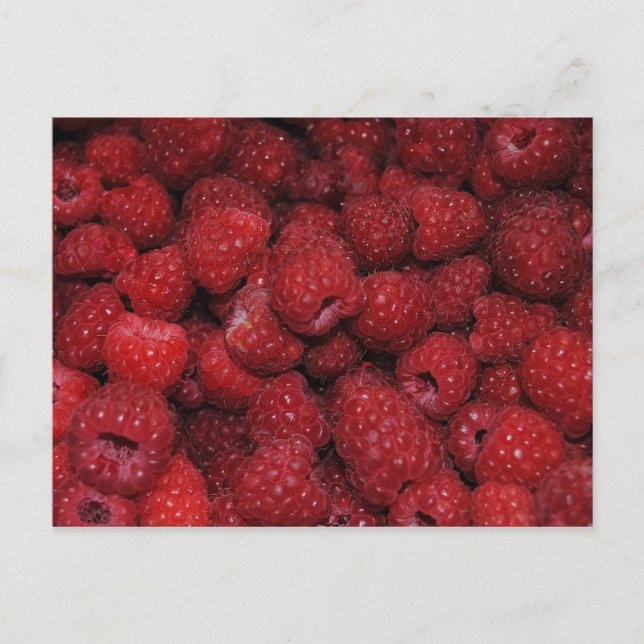 Rote Himbeeren Postkarte (Vorderseite)
