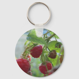 Rote Himbeeren Schlüsselanhänger