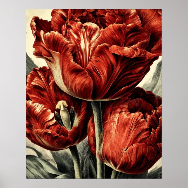 Rote Holländische Tulpen Poster (Vorne)