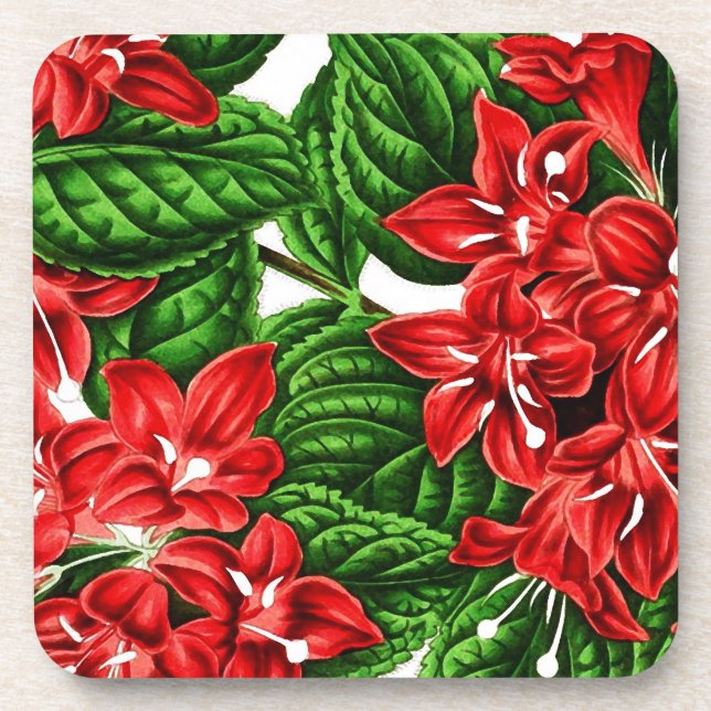 Rote Ingwer-Blume, Vintag Getränkeuntersetzer (Vorderseite)