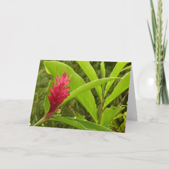 Rote Ingwerblüte (Alpinia) Tropisch Karte (Vorderseite)