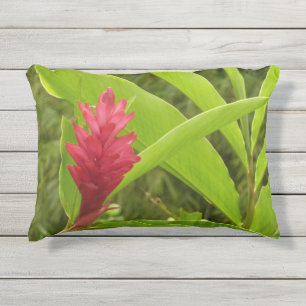 Rote Ingwerblüte (Alpinia) Tropisch Kissen Für Draußen