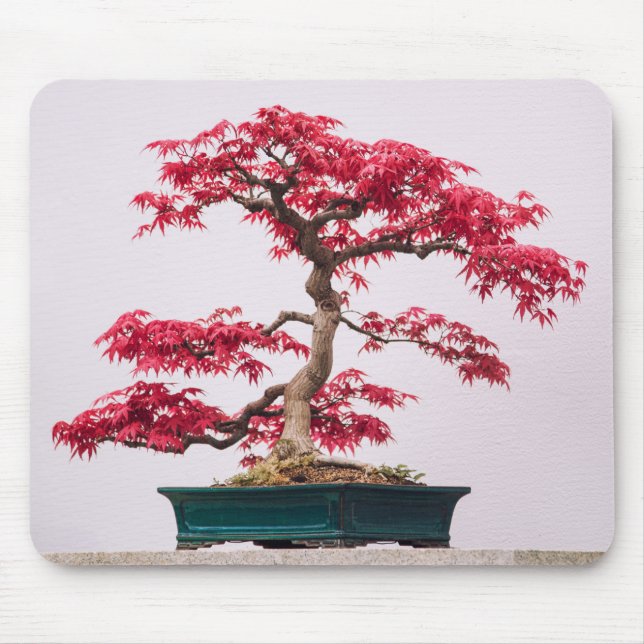 Rote Japanische Ahorn-Bonsai Mousepad (Vorne)
