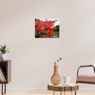 Rote Japanische Ahorn und Gartenschrein Foto Poster