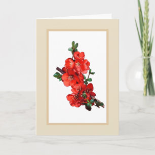 Rote Japanische Quittenblüten-Illustration beige Karte