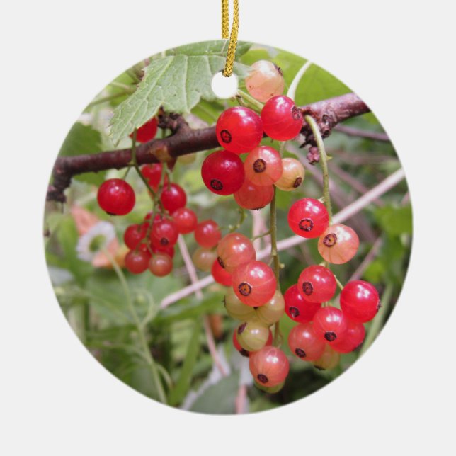 Rote Johannisbeere Keramik Ornament (Vorne)