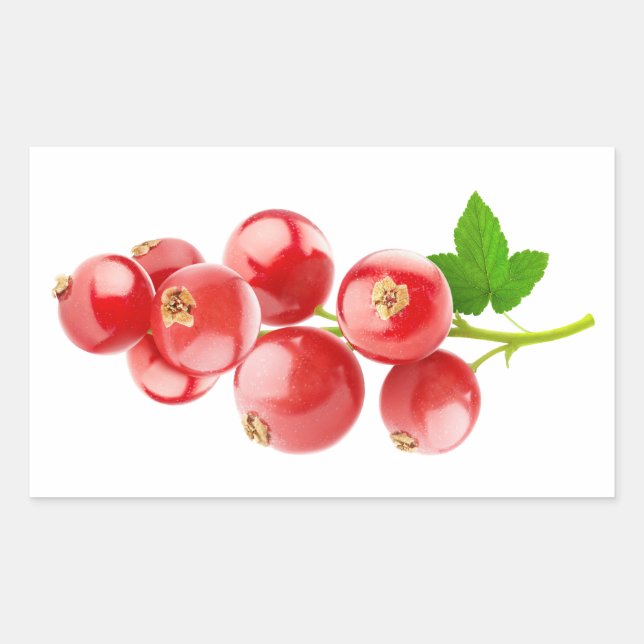 Rote Johannisbeere Rechteckiger Aufkleber (Vorderseite)