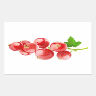 Rote Johannisbeere Rechteckiger Aufkleber