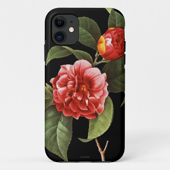 Rote Kamelie, 1833 Case-Mate iPhone Hülle (Rückseite)