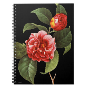 Rote Kamelie, 1833 Notizblock