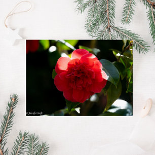 Rote Kamelie Frohe Weihnachtsgrüße Karte