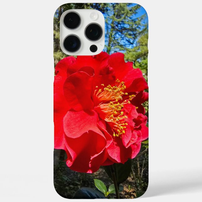 Rote Kamelien Blume im Descanso Gardens Case-Mate iPhone Hülle (Rückseite)