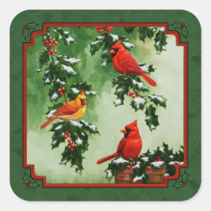 Rote Kardinäle und Holly Green Quadratischer Aufkleber