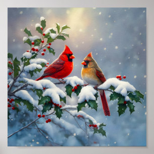 Rote Kardinäle und Stechpalme im Schnee Poster