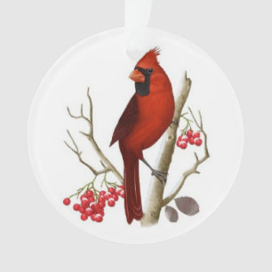Rote Kardinals-Weihnachtsverzierung Ornament