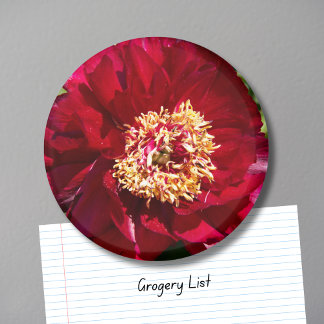 Rote Karl Rosenfield Pfingstrose Magnet