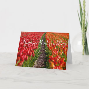 Rote Karte der Tulpe-Feld-Mutter Tages
