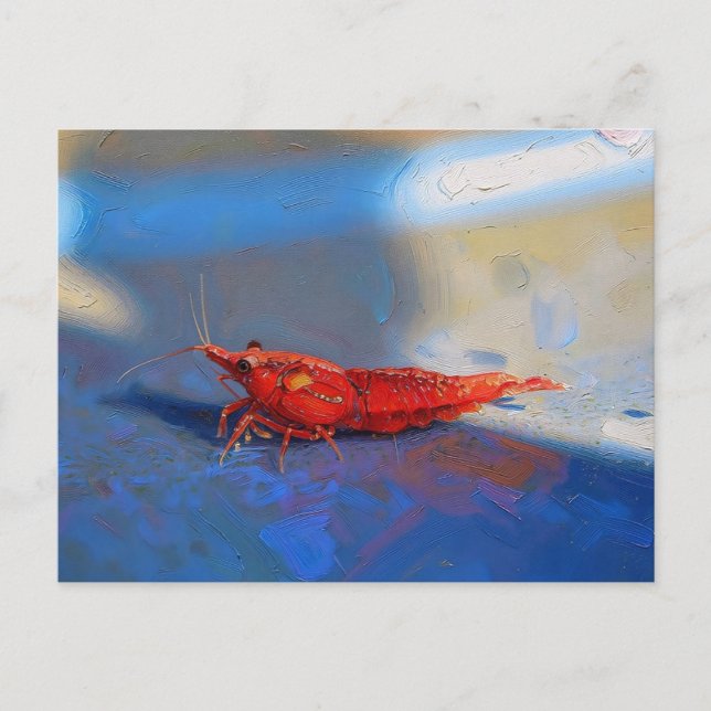 Rote Kirschen-Garnele Postkarte (Vorderseite)
